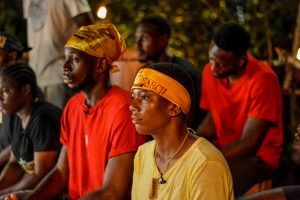 Gulder Ultimate Search